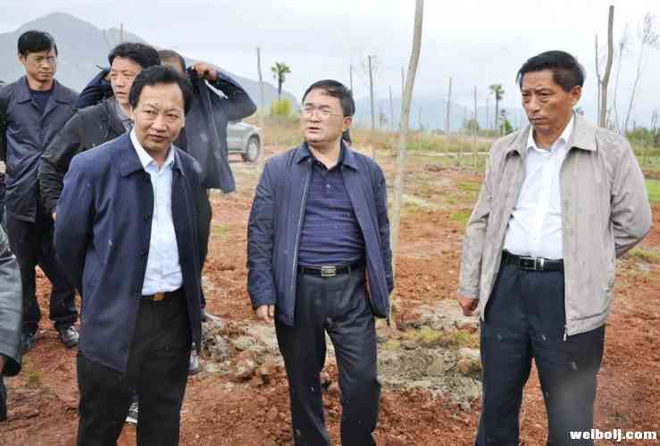 崔茂虎现场督办中央环保督察组反馈意见整改工作