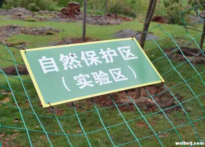 崔茂虎现场督办中央环保督察组反馈意见整改工作