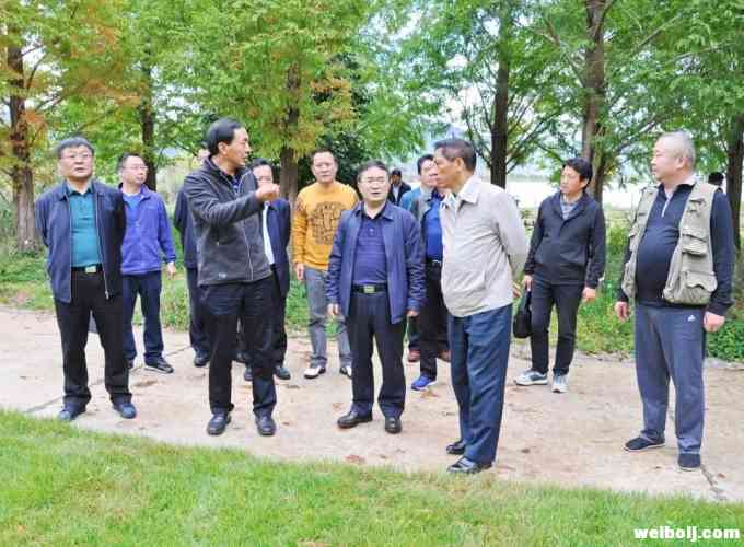 崔茂虎现场督办中央环保督察组反馈意见整改工作