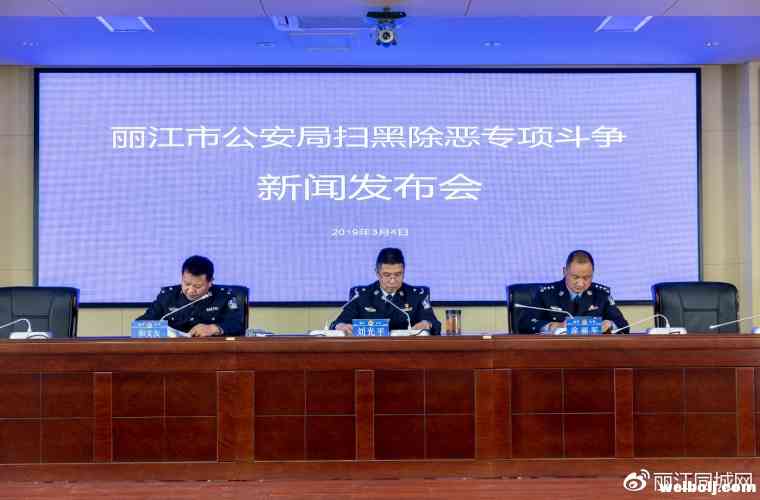 丽江公安机关侦办2件涉黑案件，打掉涉恶组织12个.jpg