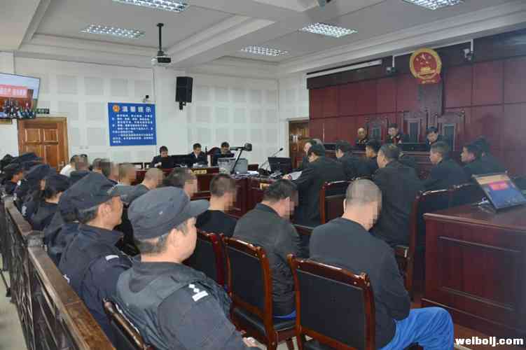 组织卖淫、寻衅滋事、抢劫 玉龙法院对一起15人涉恶案公开宣判