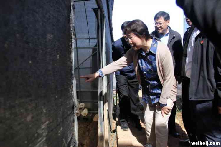 邹加怡到永胜调研脱贫攻坚工作