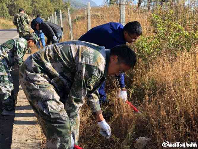 防火于未然，大研街道开展环城北路干枯杂草大整治！