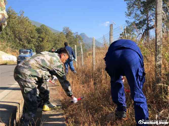 防火于未然，大研街道开展环城北路干枯杂草大整治！