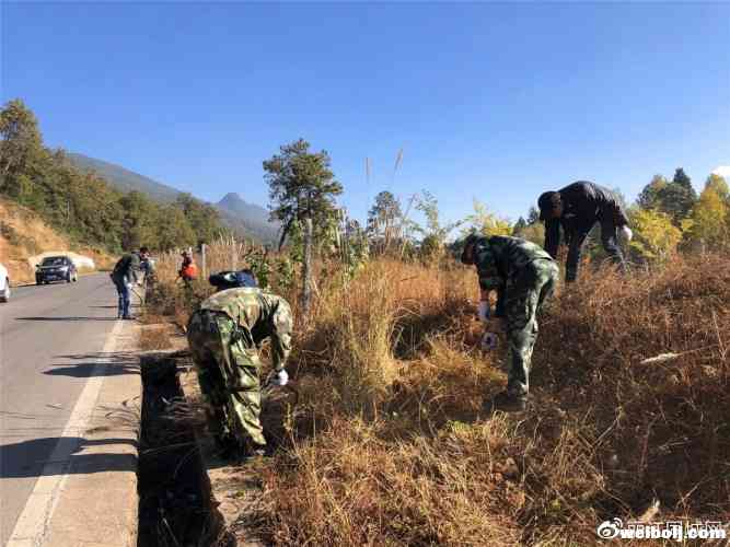 防火于未然，大研街道开展环城北路干枯杂草大整治！
