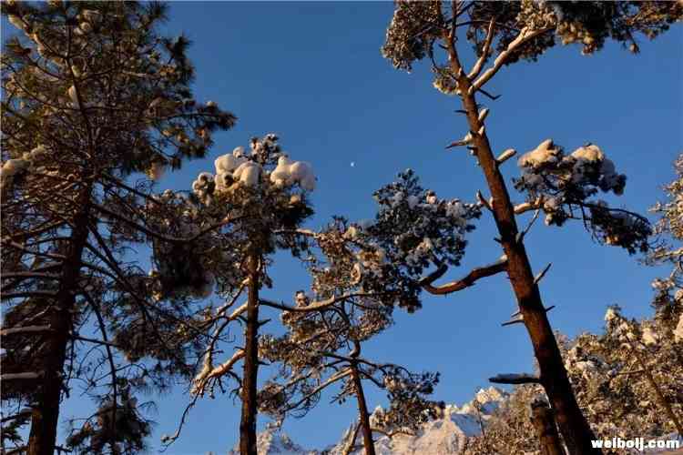余生，等一个人一起奔赴玉龙雪山
