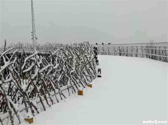 新年“冰雪盛宴”等你开席，快来玉龙雪山耍一哈！