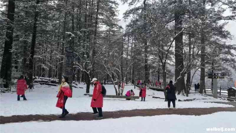 新年“冰雪盛宴”等你开席，快来玉龙雪山耍一哈！