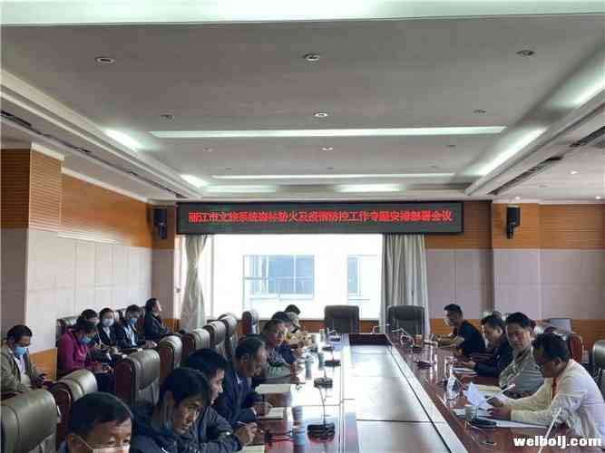 丽江全力做好文旅行业森林防火及疫情防控工作 (2).jpg