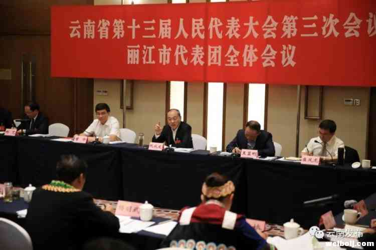 阮成发参加丽江市代表团审议强调：克难攻坚乘势而上 奋力开创高质量发展新局面 (2).jpg