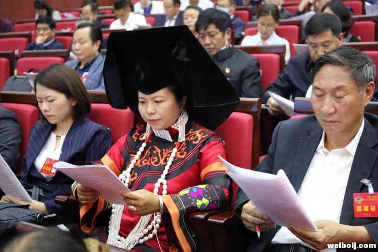 丽江市四届人大三次会议开幕 2020年重点抓好10个方面工作 (5).jpg