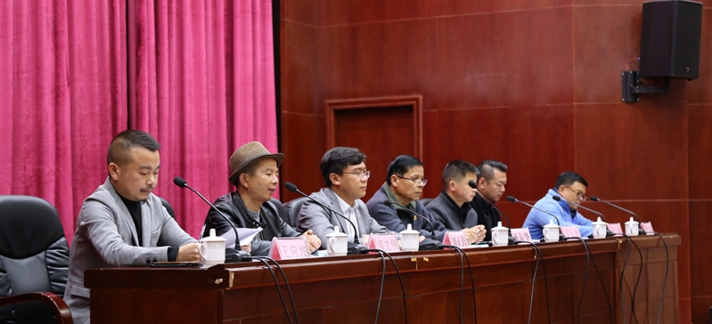 丽江市新媒体协会今天成立 (3).JPG