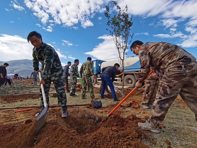 2020丽江义务植树活动大幕拉开，一个月植树260万株！ (2).jpg