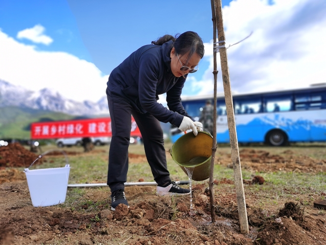 2020丽江义务植树活动大幕拉开，一个月植树260万株！ (7).jpg