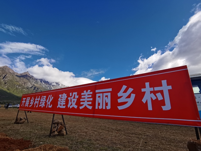 2020丽江义务植树活动大幕拉开，一个月植树260万株！ (3).jpg