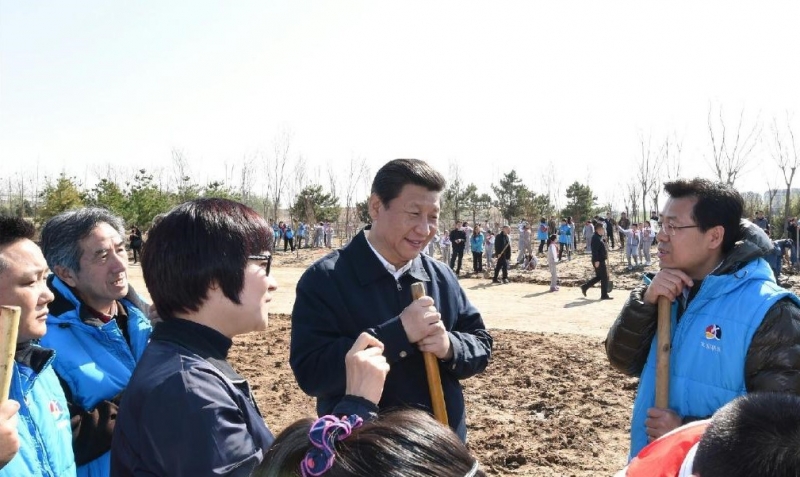 市林草局：全民关爱生态环境 人人参与植树造林2.jpg