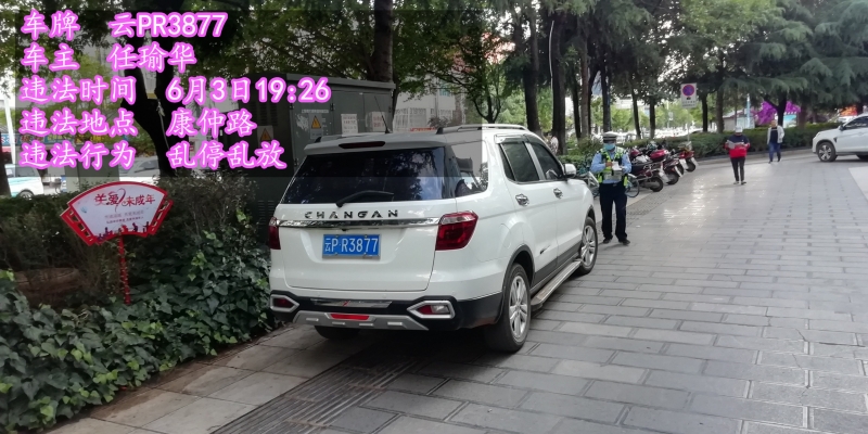 乱停乱放今天曝光35辆车 玉龙县森警和交警也被无情晒出 (5).jpg
