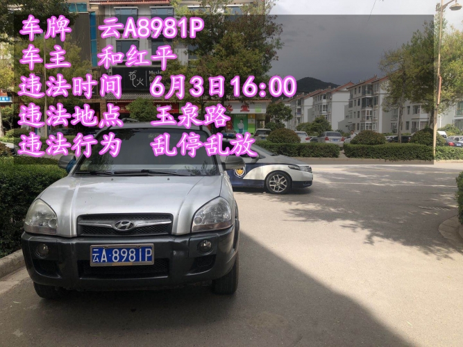 乱停乱放今天曝光35辆车 玉龙县森警和交警也被无情晒出 (17).jpg