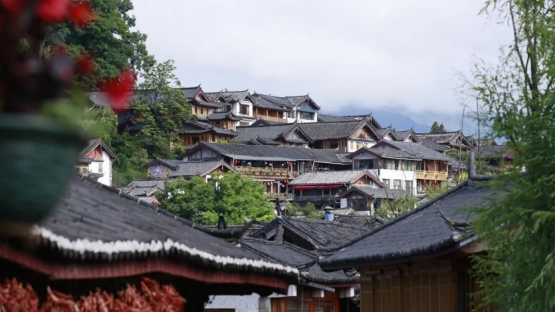 丽江古城，一座还没走就开始怀念的城 (3).jpg