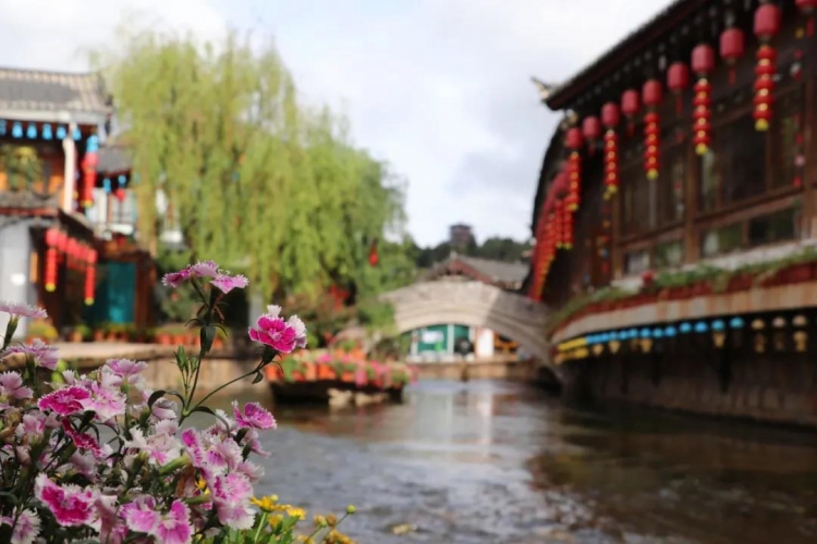 丽江古城，一座还没走就开始怀念的城 (4).jpg