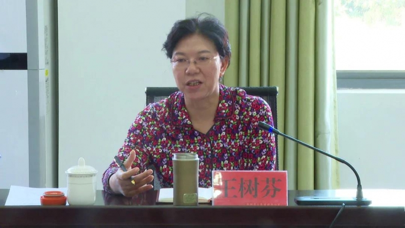 省人大调研组赴华坪县开展“以保促稳、稳中求进”专题调研 (1).jpg