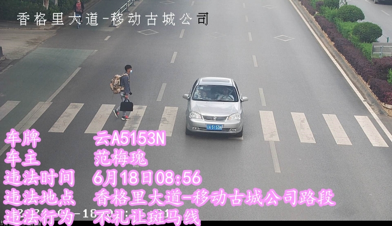 乱停乱放，不礼让斑马线，这19辆车被曝光 (7).jpg