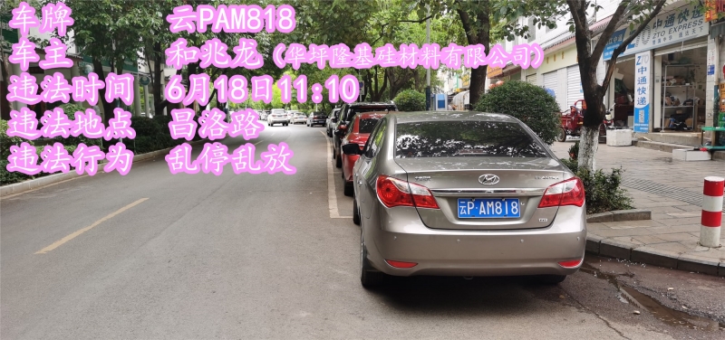 乱停乱放，不礼让斑马线，这19辆车被曝光 (13).jpg