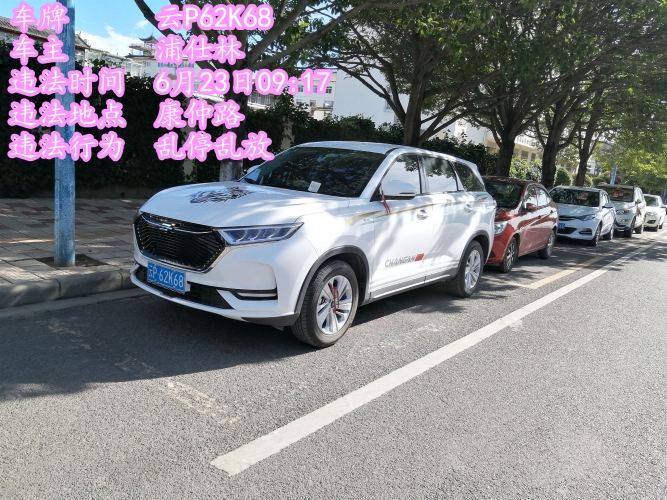 交通专项整治已持续一个月 乱停乱放现象仍然不能杜绝 (15).jpg