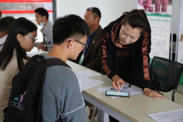 丽江双创园携手师专开展毕业季招聘活动  上百岗位 “职”等你来 (9).jpg