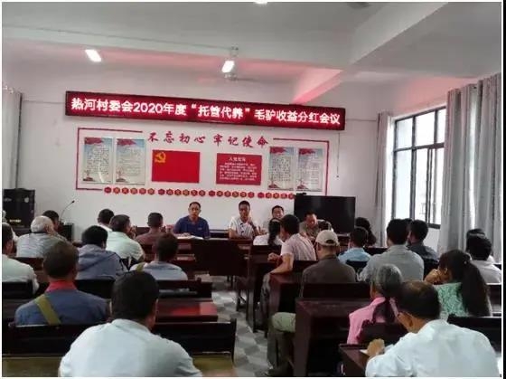 永胜42头毛驴被托管代养 兑付资金4 (2).jpg