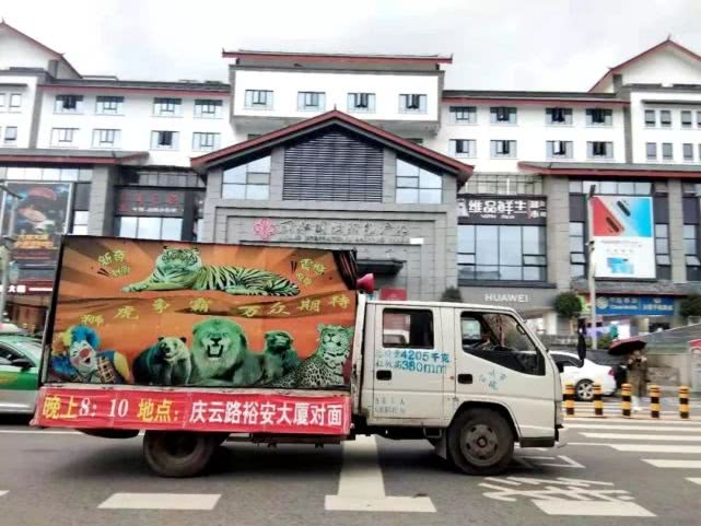疫情之后马戏团再杀回丽江 马戏团和丽江到底有何不解之缘？5.jpeg