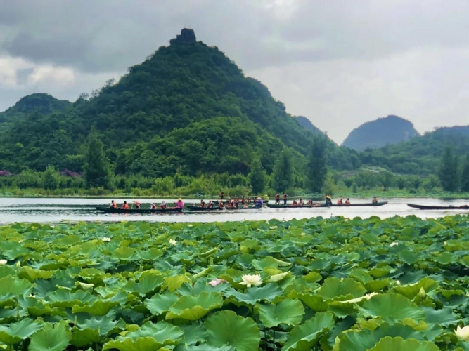 7月22日起，云南恢复跨省团队旅游啦！ (1).jpg