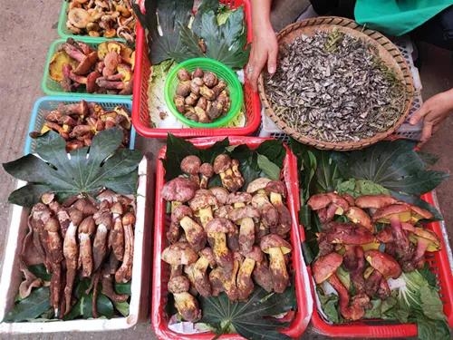 美味背后 “暗藏杀机”，这份权威吃菌手册一定要收藏好！ (3).jpg