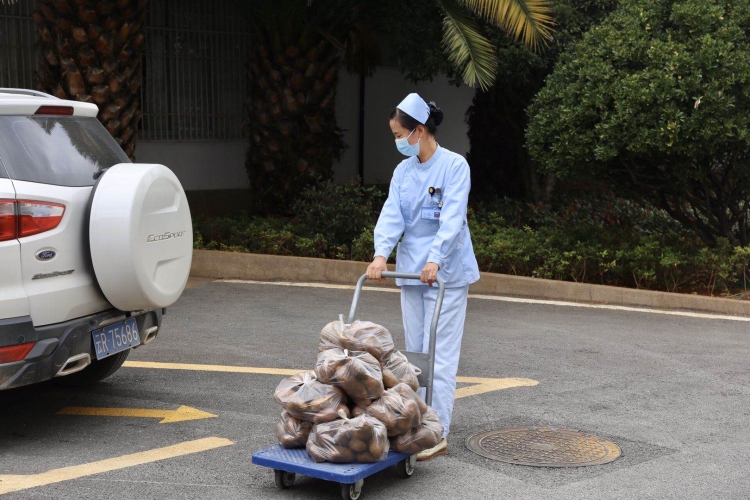 市医院购进一万两千多斤洋芋 为宁蒗战河滞销洋芋打call (5).jpg