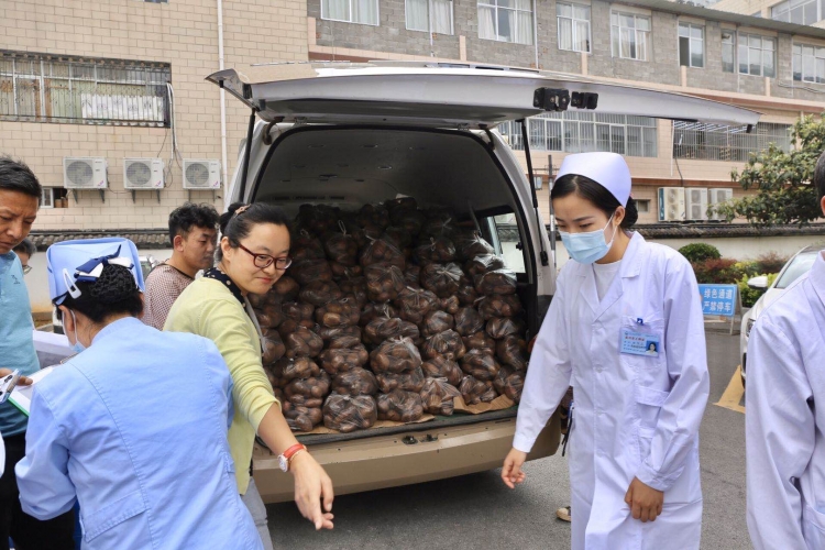 市医院购进一万两千多斤洋芋 为宁蒗战河滞销洋芋打call (6).jpg