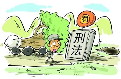 现实版“光头强”9次非法收购、运输木材，获刑两年并处罚金42600元.jpg