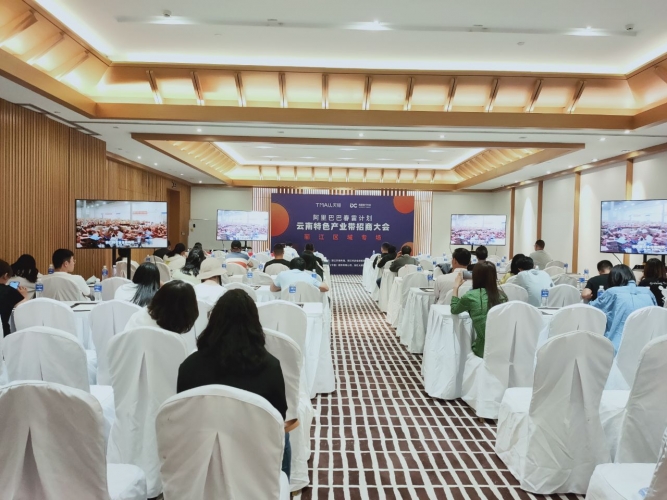 阿里巴巴春雷计划特色产业带招商会在丽江举行 帮中小企业度危机 (1).jpg