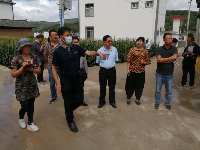 常态化疫情防控、爱国卫生专项行动……省调研组在永胜调研这些事儿2.jpg
