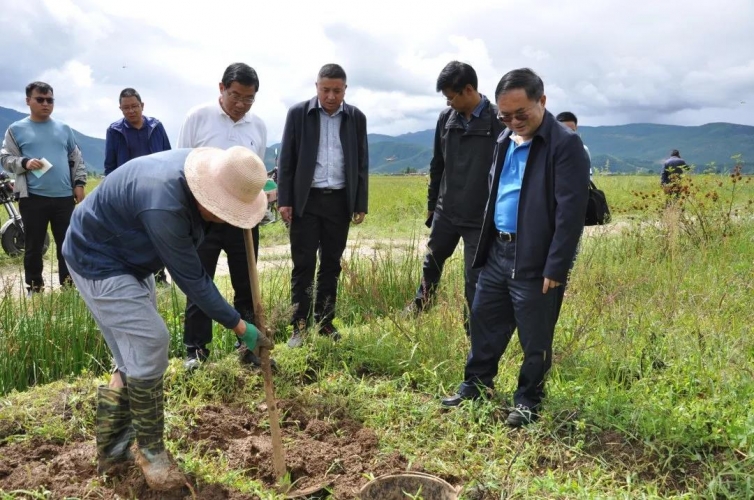 崔茂虎深入乡镇调研：以绿水青山托举脱贫攻坚和乡村振兴 (2).jpg