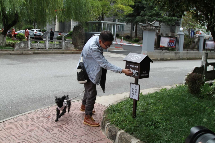 文明养犬，安全灭烟，丽江投放200多个宠物拾便器和400个烟蒂采集器9.jpg