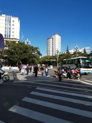 同城君拍了拍你！邀你一起守护城市文明交通 (11).jpg