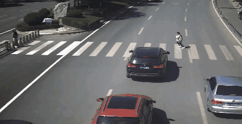 斑马线不只车辆让行，行人也要左右观察 (1).gif