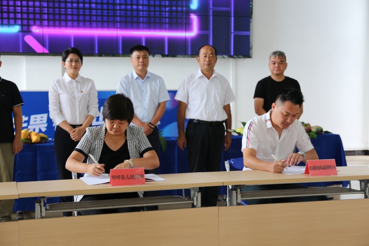 “丽江芒果 横空出世”品牌创建暨直播活动今日启动！5.JPG