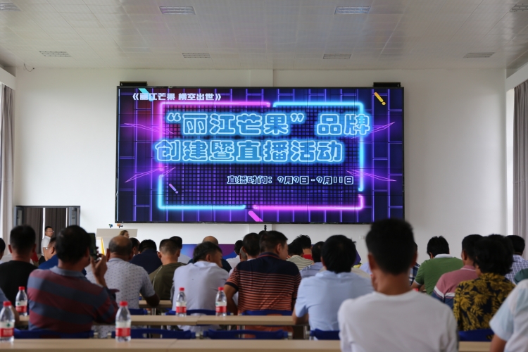 “丽江芒果 横空出世”品牌创建暨直播活动今日启动！10.JPG