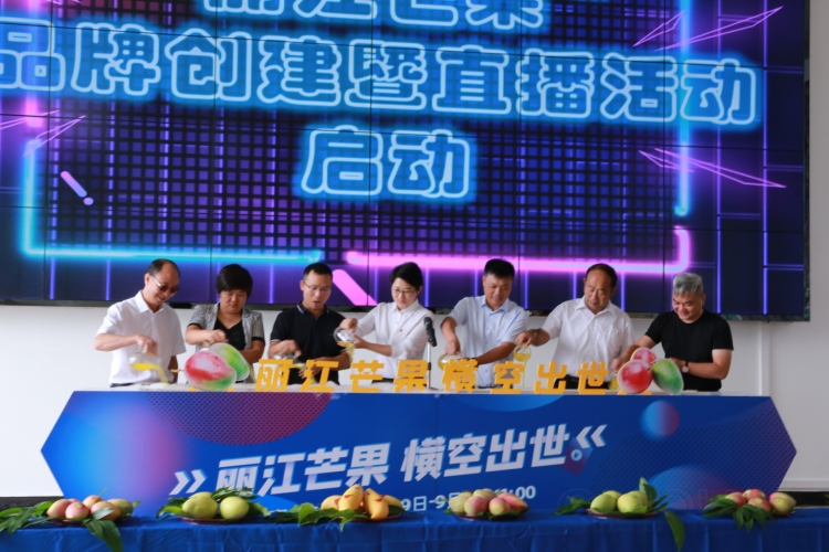 “丽江芒果 横空出世”品牌创建暨直播活动今日启动！7.JPG