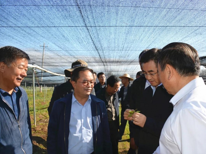 农业农村部领导到丽调研强调，要发挥特色优势、加快推进乡村振兴 (2).jpg