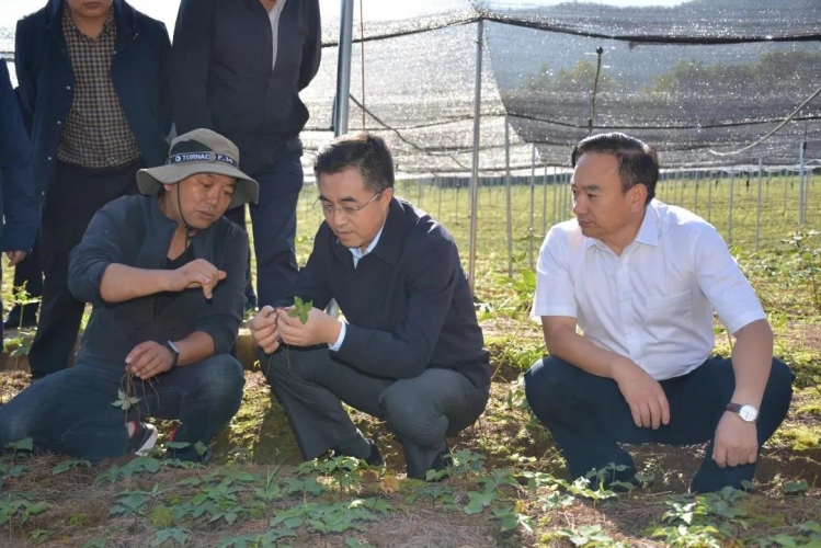 农业农村部领导到丽调研强调，要发挥特色优势、加快推进乡村振兴 (1).jpg