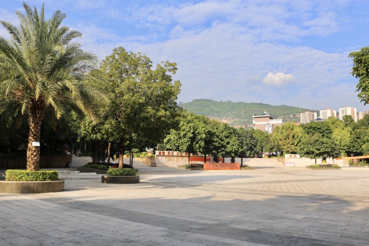 全民参与爱国卫生专项行动 ，华坪城乡颜值再刷新 (2).jpg