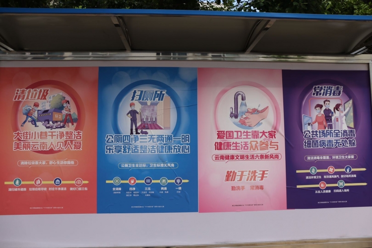 全民参与爱国卫生专项行动 ，华坪城乡颜值再刷新 (5).jpg