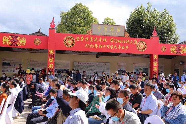 丽江市2020年中国农民丰收节暨绿色农产品展销活动开幕啦！7.jpg